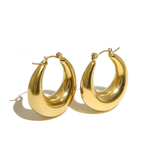 B35  Grossy Earrings