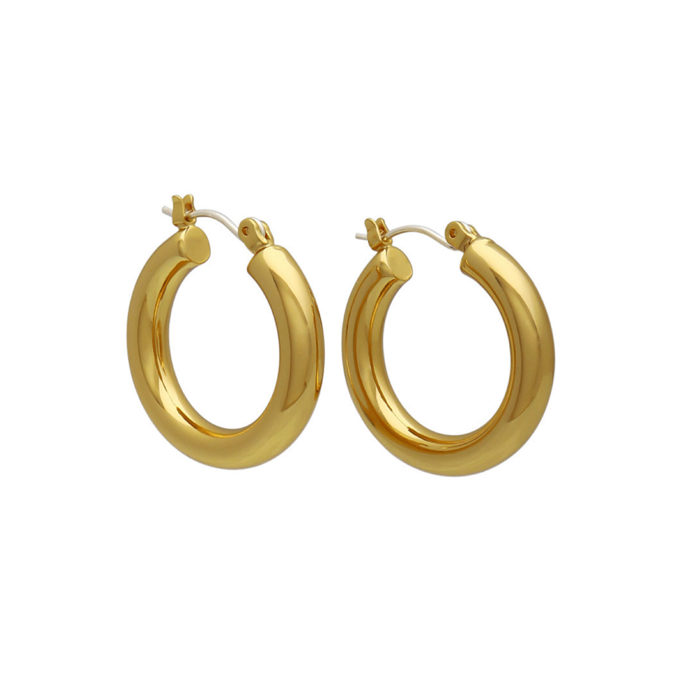 Hoop Earrings