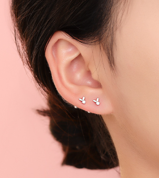 A34   Rabbit Zircon Studs