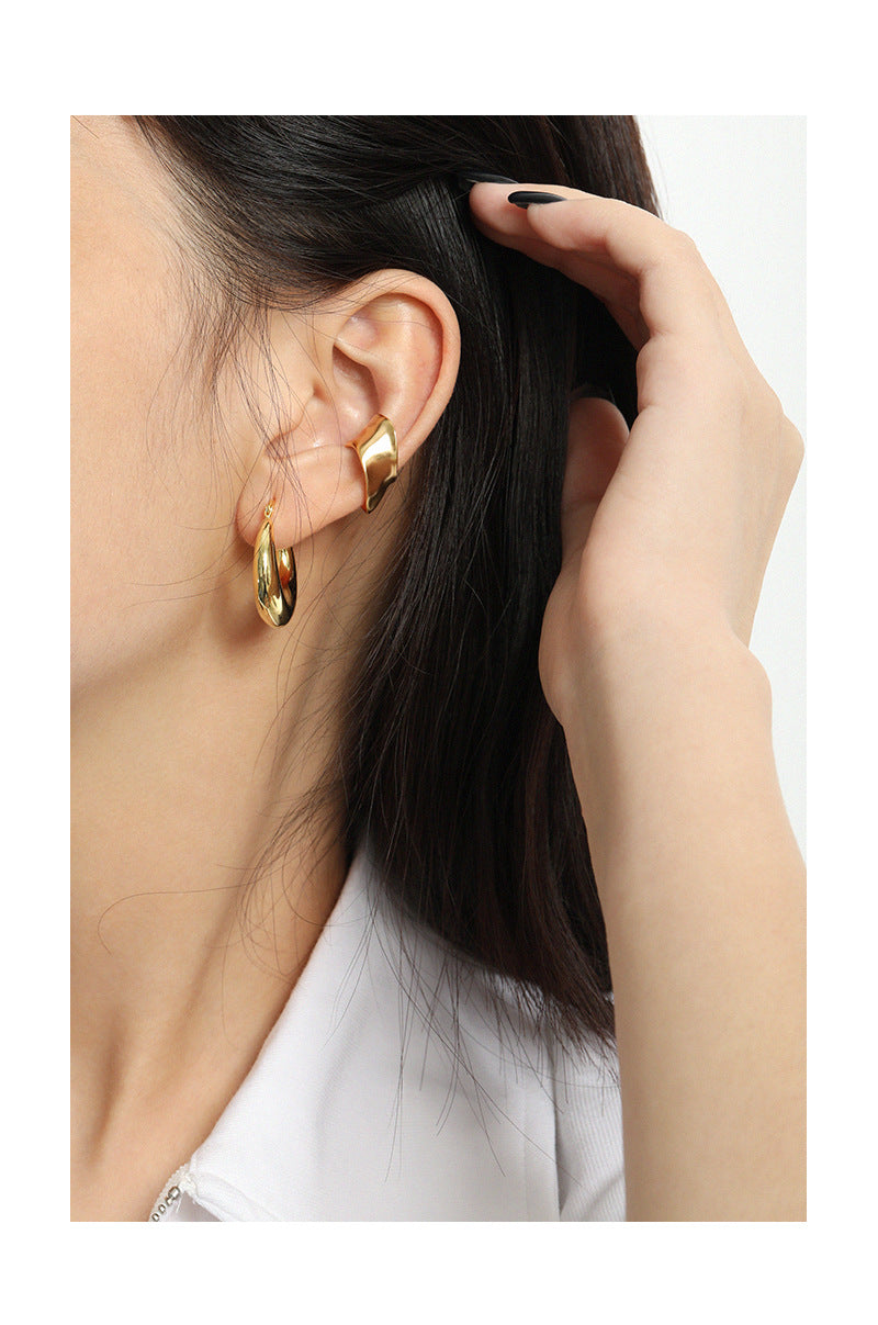 B35  Grossy Earrings